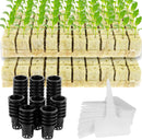 EcoGrow Hydro Starter Cubes