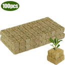 EcoGrow Hydro Starter Cubes