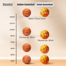 Indoor Silent Basketball