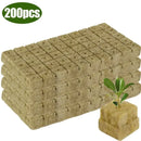 EcoGrow Hydro Starter Cubes