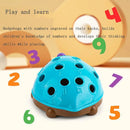 Hedgehog Montessori Skills Toys
