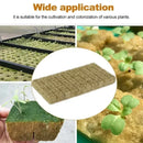 EcoGrow Hydro Starter Cubes