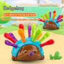Hedgehog Montessori Skills Toys