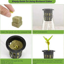 EcoGrow Hydro Starter Cubes