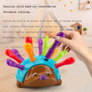 Hedgehog Montessori Skills Toys