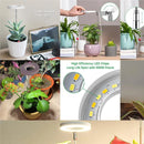 LED Ring Spectrum Grow Light