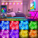 USB LED Strip Lights with App Control