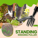 Detachable Weed Puller with Handle