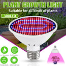 Spectrum LED Plant Growth Heat Bulb